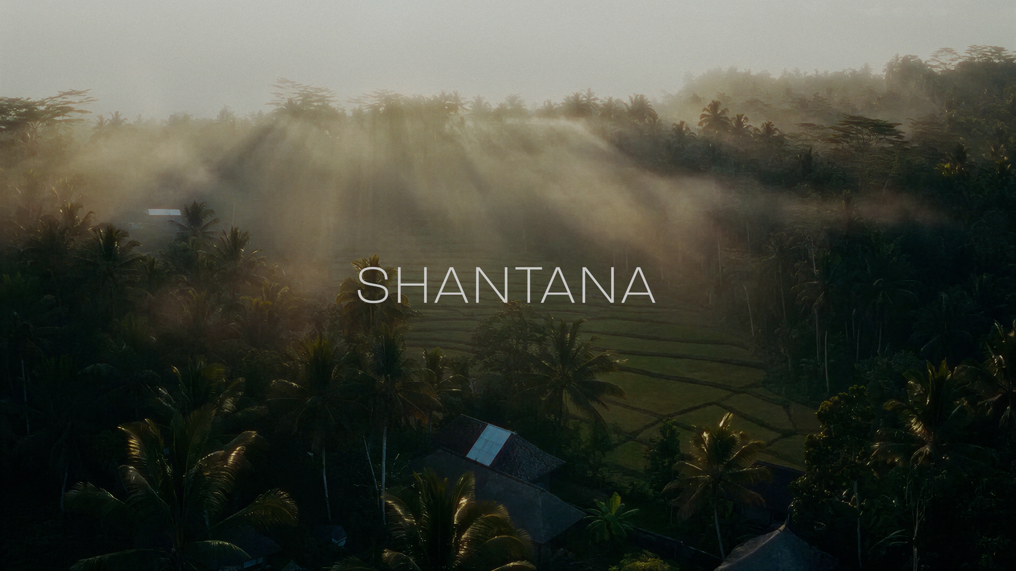 Shantana: dawn light across misted rice terraces