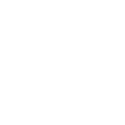 Icône d'un cookie blanc