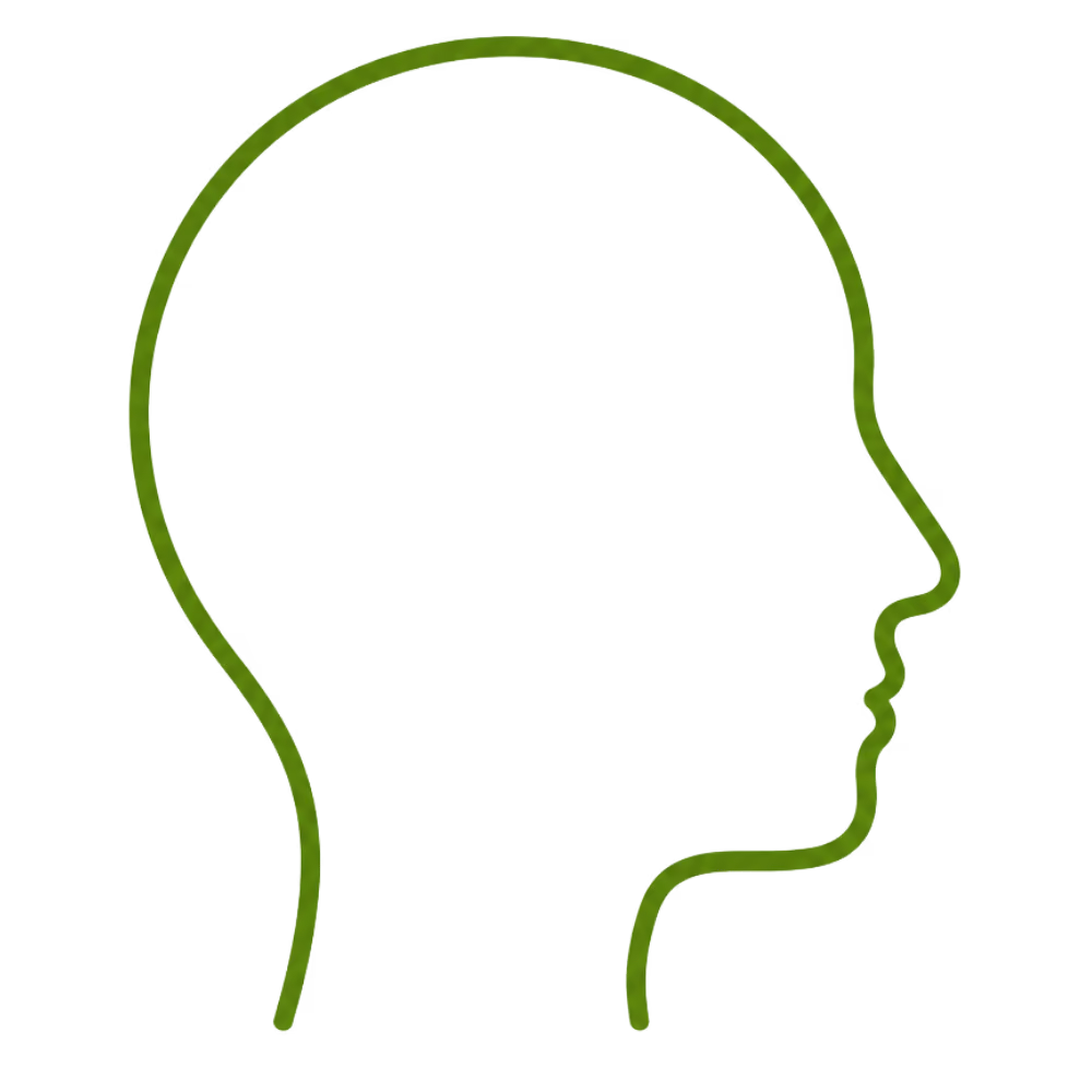 Green outline of a human head in profile facing right on a transparent background.