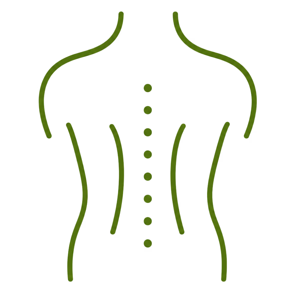 Minimalist green outline of a human back with spine dots and curved lines on each side representing muscles or posture.