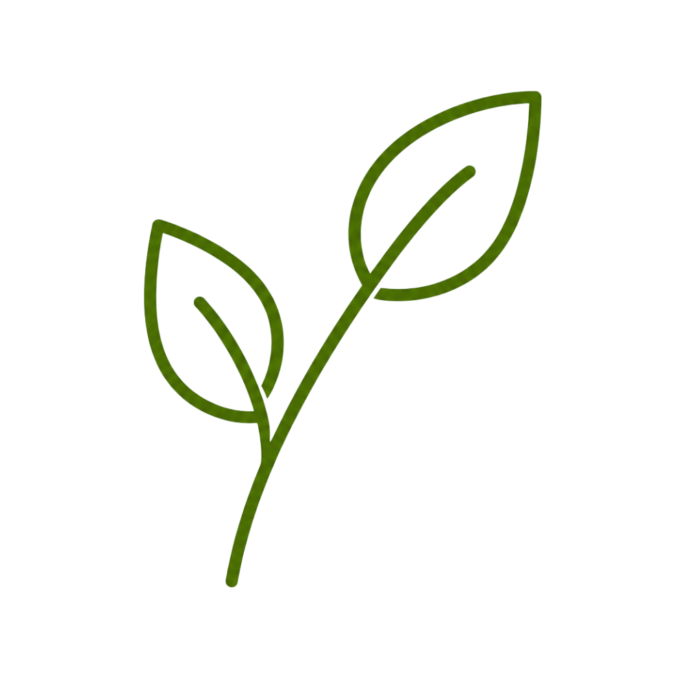 Simple green line drawing of a plant stem with two leaves.