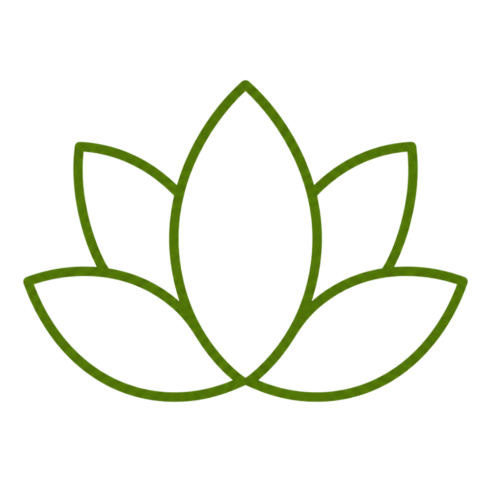 Outline of a lotus flower with five green petals arranged symmetrically on a transparent background.