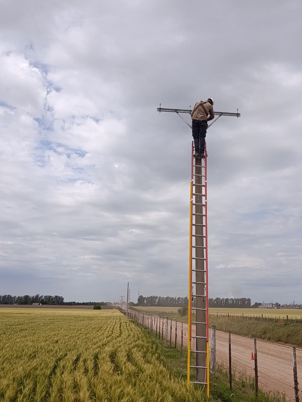 REMODELACIÓN TENDIDO ELECTRICO - MARIA SUSANA