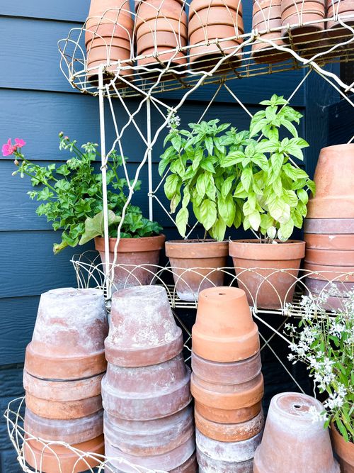 10 recipes that use basil