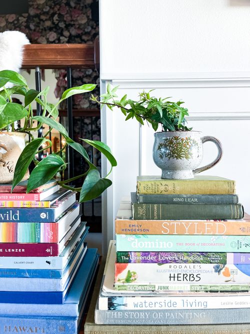 How to Start Thrifting