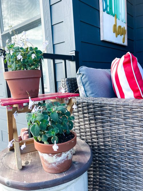 Buying and Styling Terracotta Pots