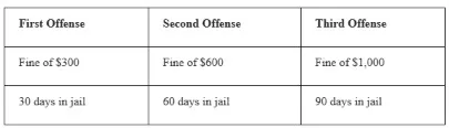Table showing legal penalties: First Offense is a fine of $300 and 30 days in jail. Second Offense is a fine of $600 and 60 days in jail. Third Offense is a fine of $1,000 and 90 days in jail.