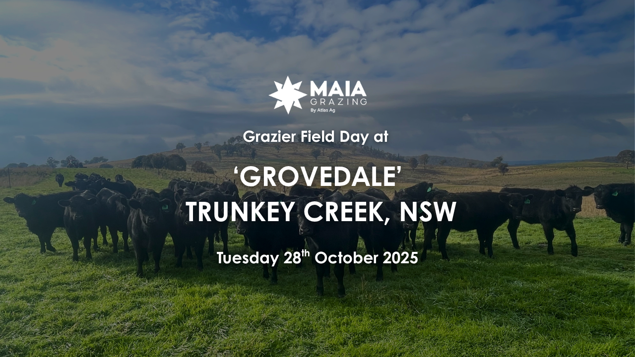 Field Day at Grovedale, Trunkey Creek, NSW