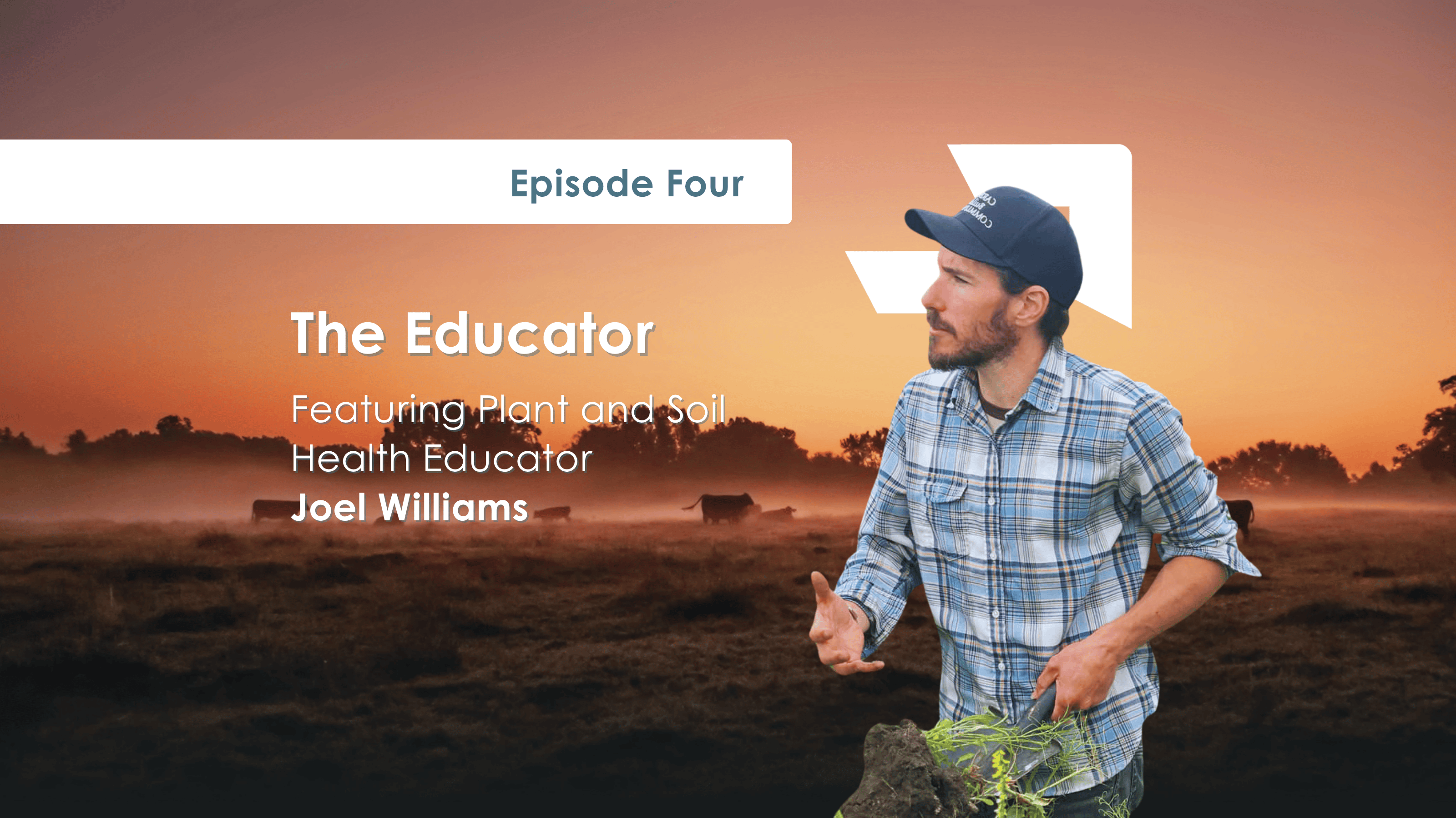 E4: The Educator