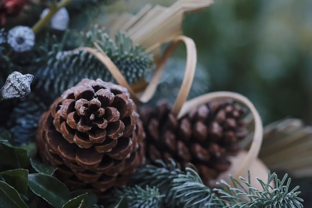 God Jul & Gott Nytt År!