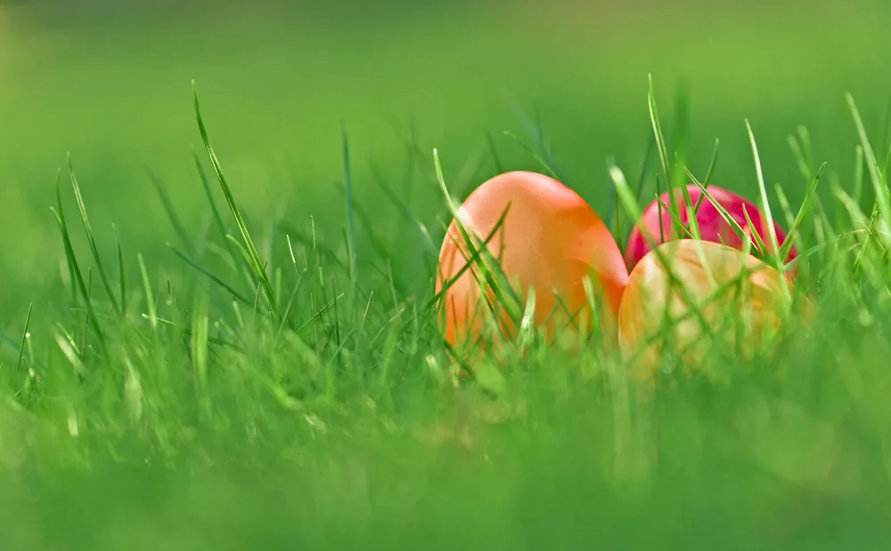 Vi söker projektledare!