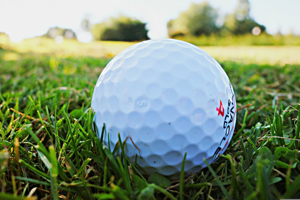 Skyhill Masters