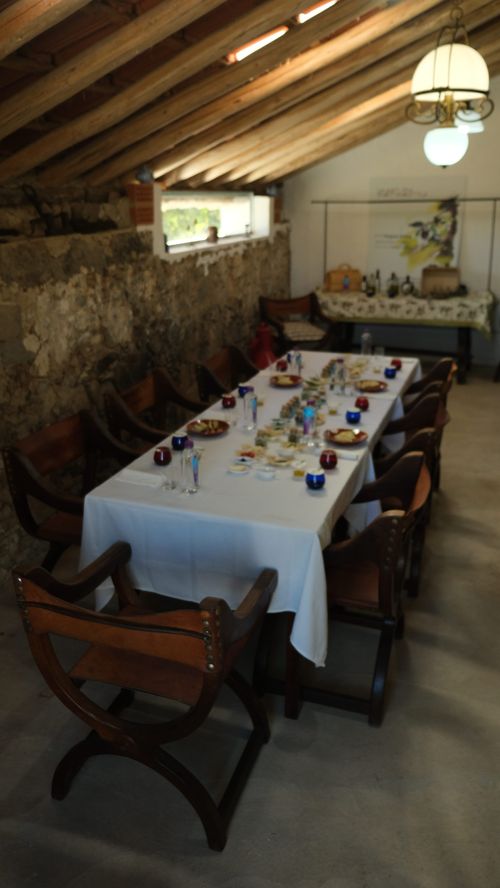 Olive oil tasting room