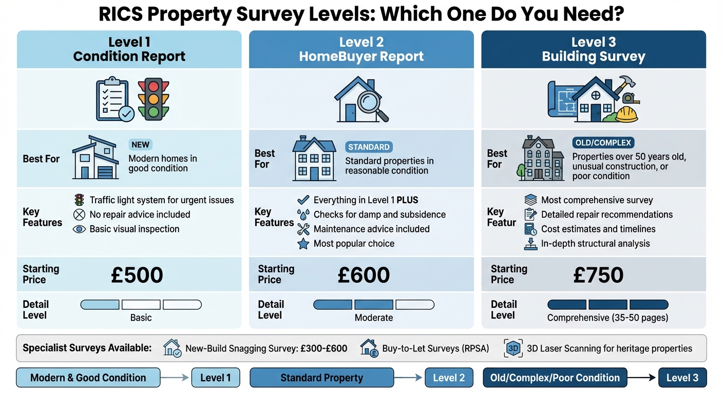 RICS Property Survey Levels Comparison Guide