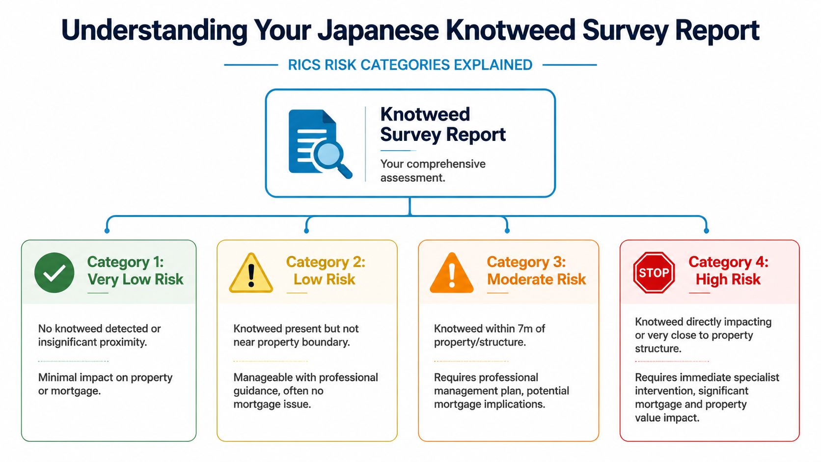 An infographic explaining the four RICS risk categories for Japanese Knotweed survey reports from very low to high.