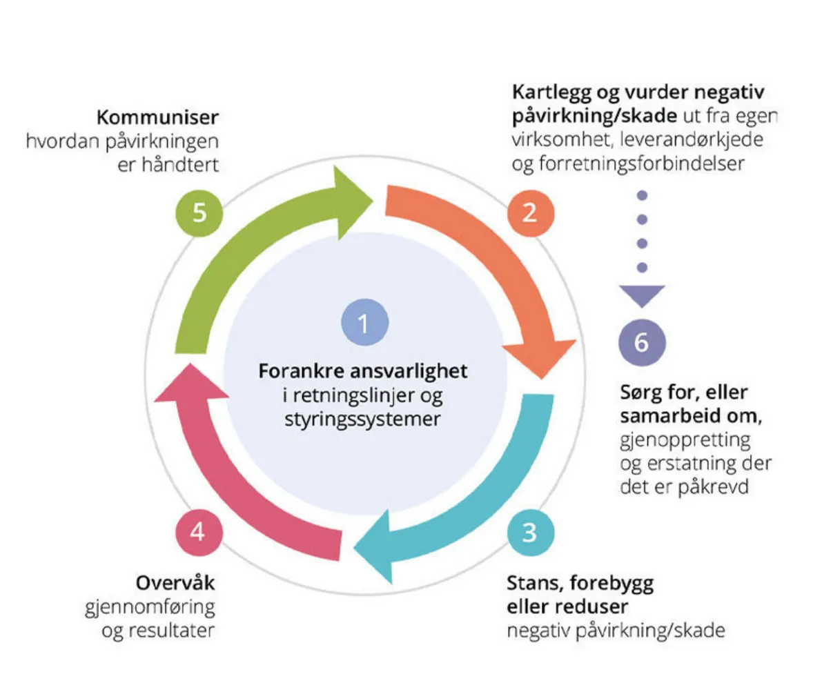 Illustrasjon av OECDs modell for ansvarlig nærlingsliv.
