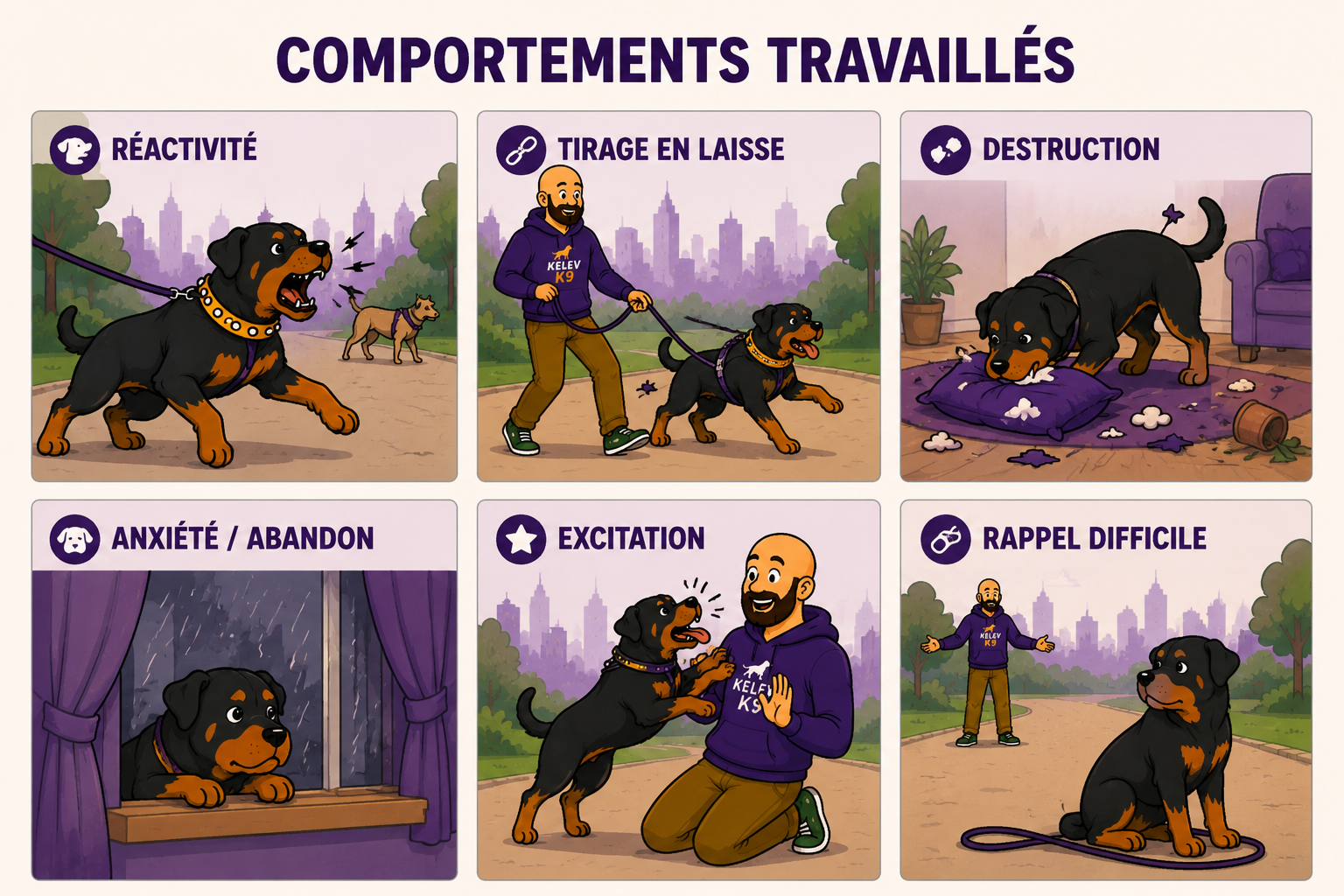 Cours d’éducation chien compliqué