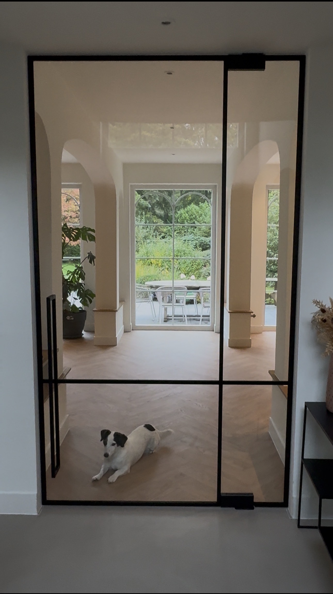 Steellook deur met hond achter de deur