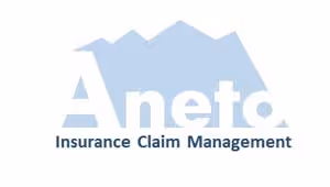 Logo Aneto