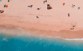 What's new at Simplicité? — Summer 2021 ☀️🌞