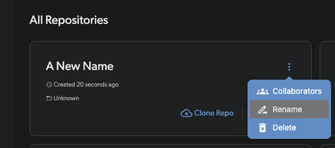 rename repo at diversion version control