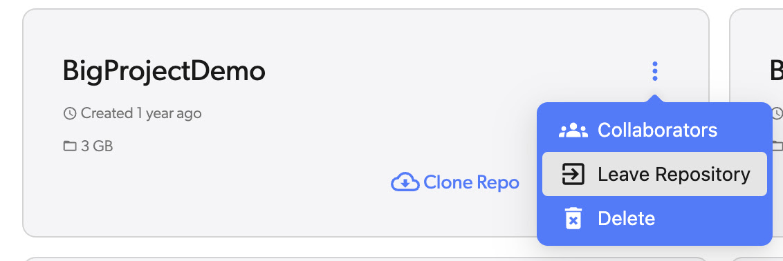 option to leave diversion repo independtly
