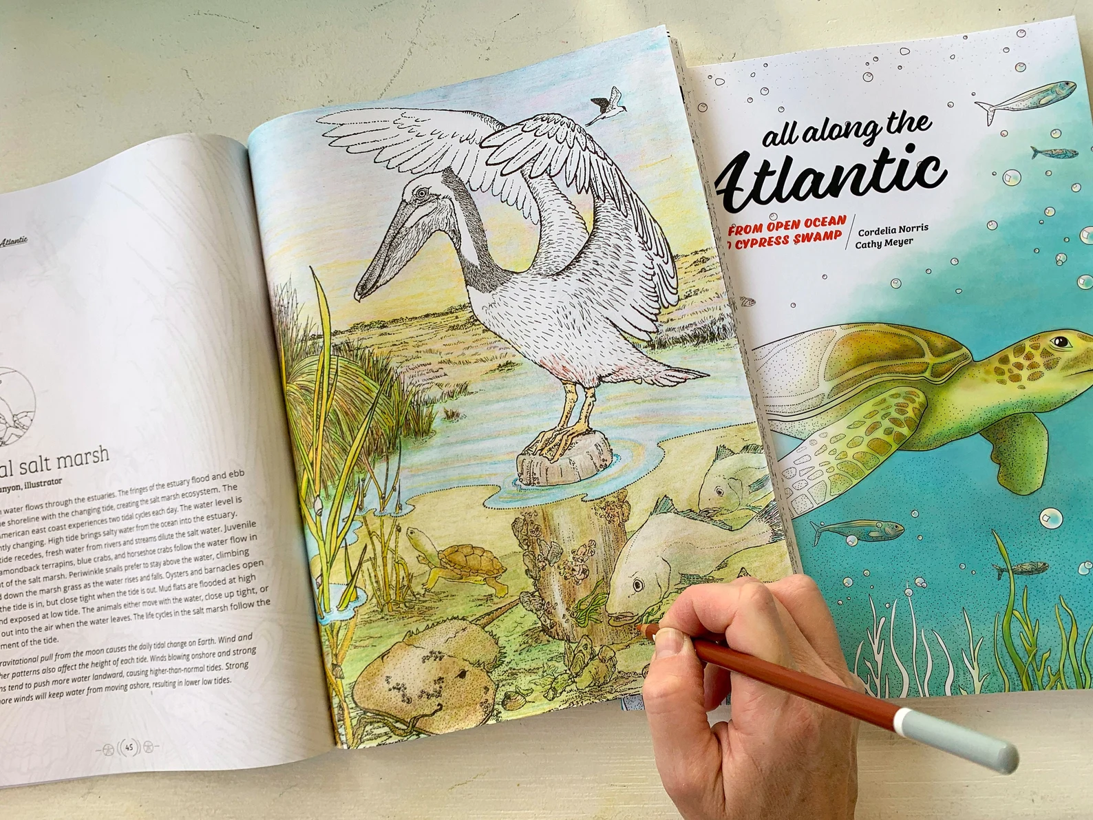 Luna Creative Market