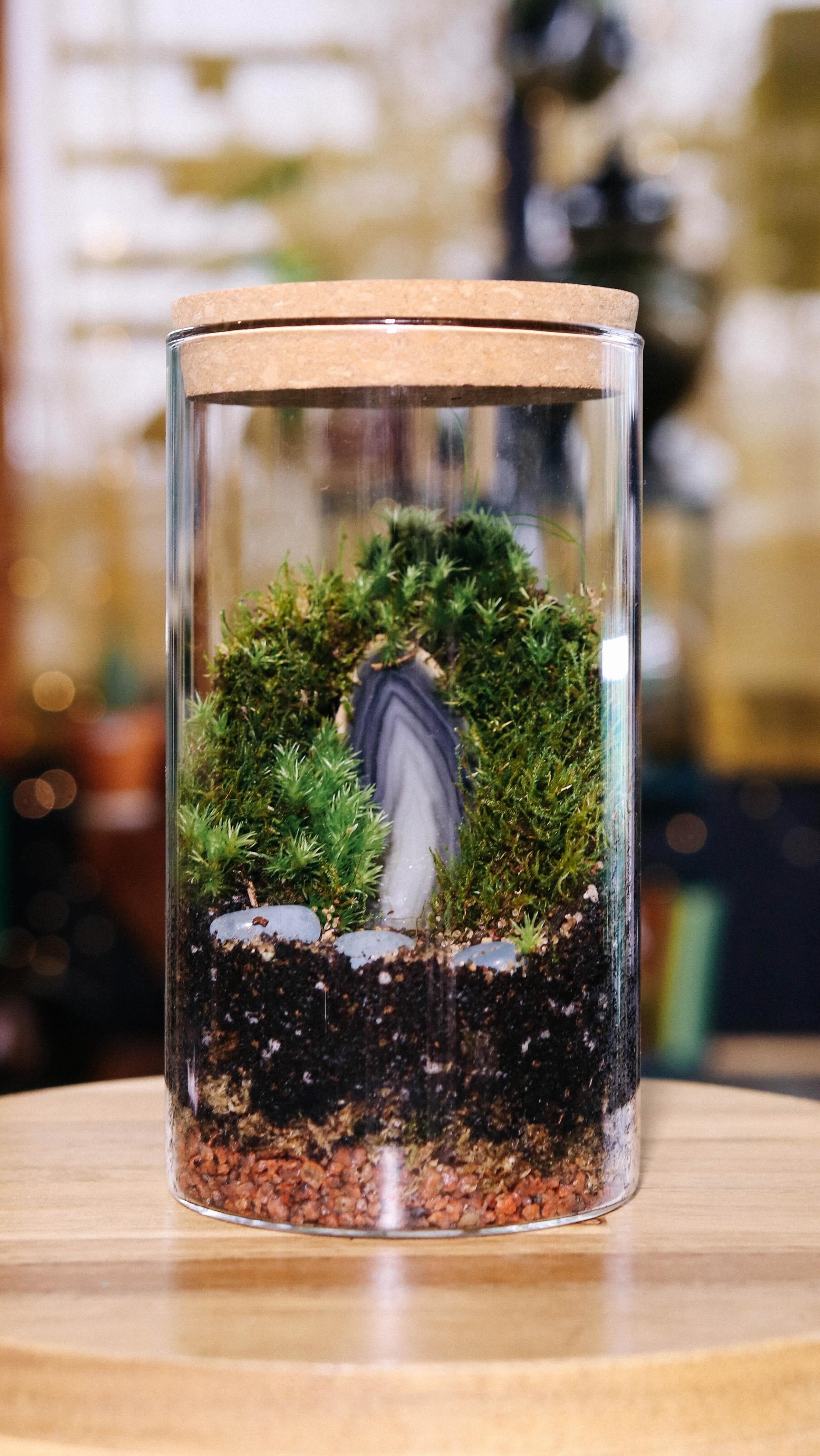 Plush Moon Terrarium Co.