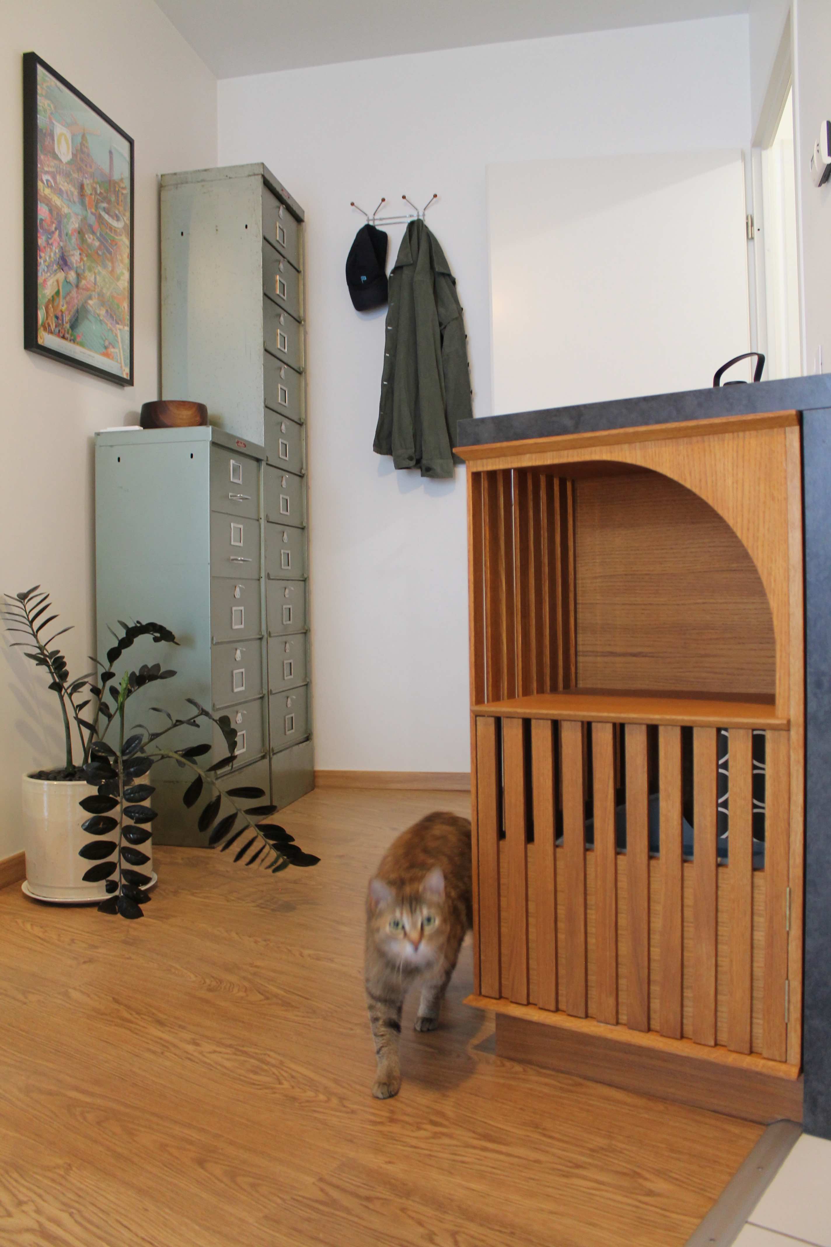 Aménagement cabinet orthodontie par Atelier Toco