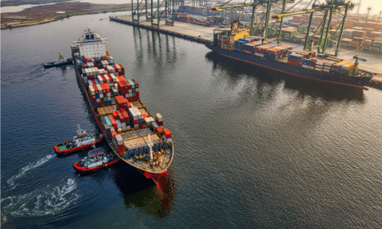 Pexel Image Three - Cargo X Webflow Template