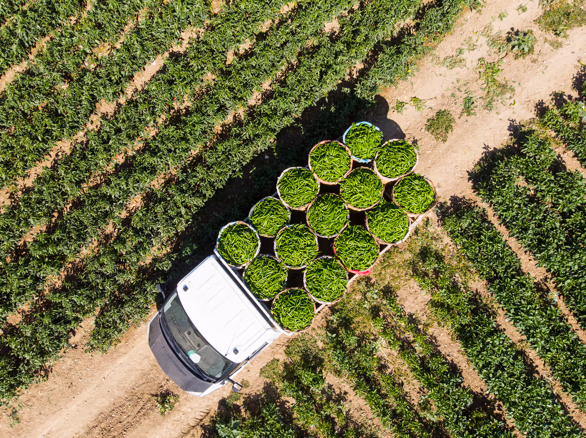 Farm tractor towing off road diesel fuel tank used for agricultural equipment.