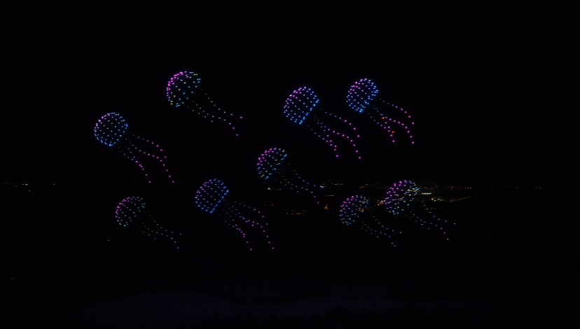  Flock Drone Art 1,000-drone light show illuminating the night sky