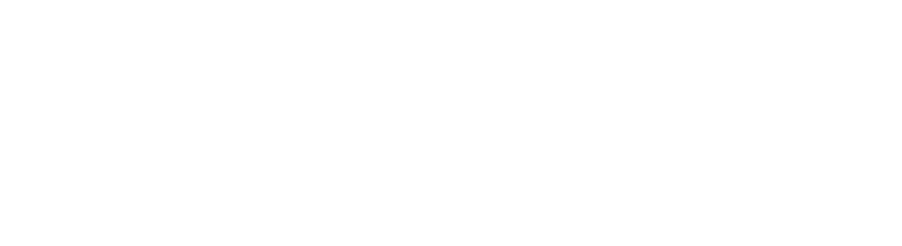 Town & Country Boutique logo