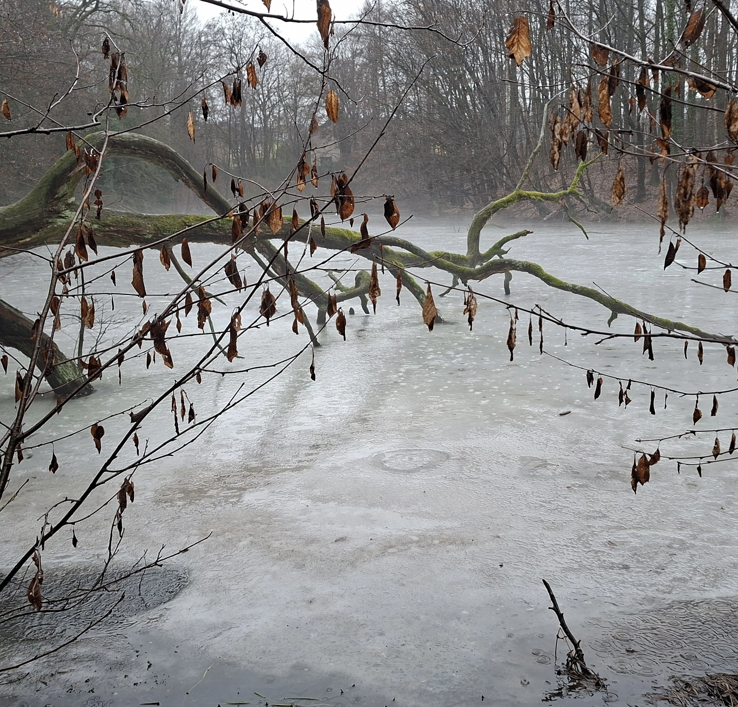 3. MidSummerRun am 21.06.2024 Flyer vom Lauftreff Alstertal e.V.