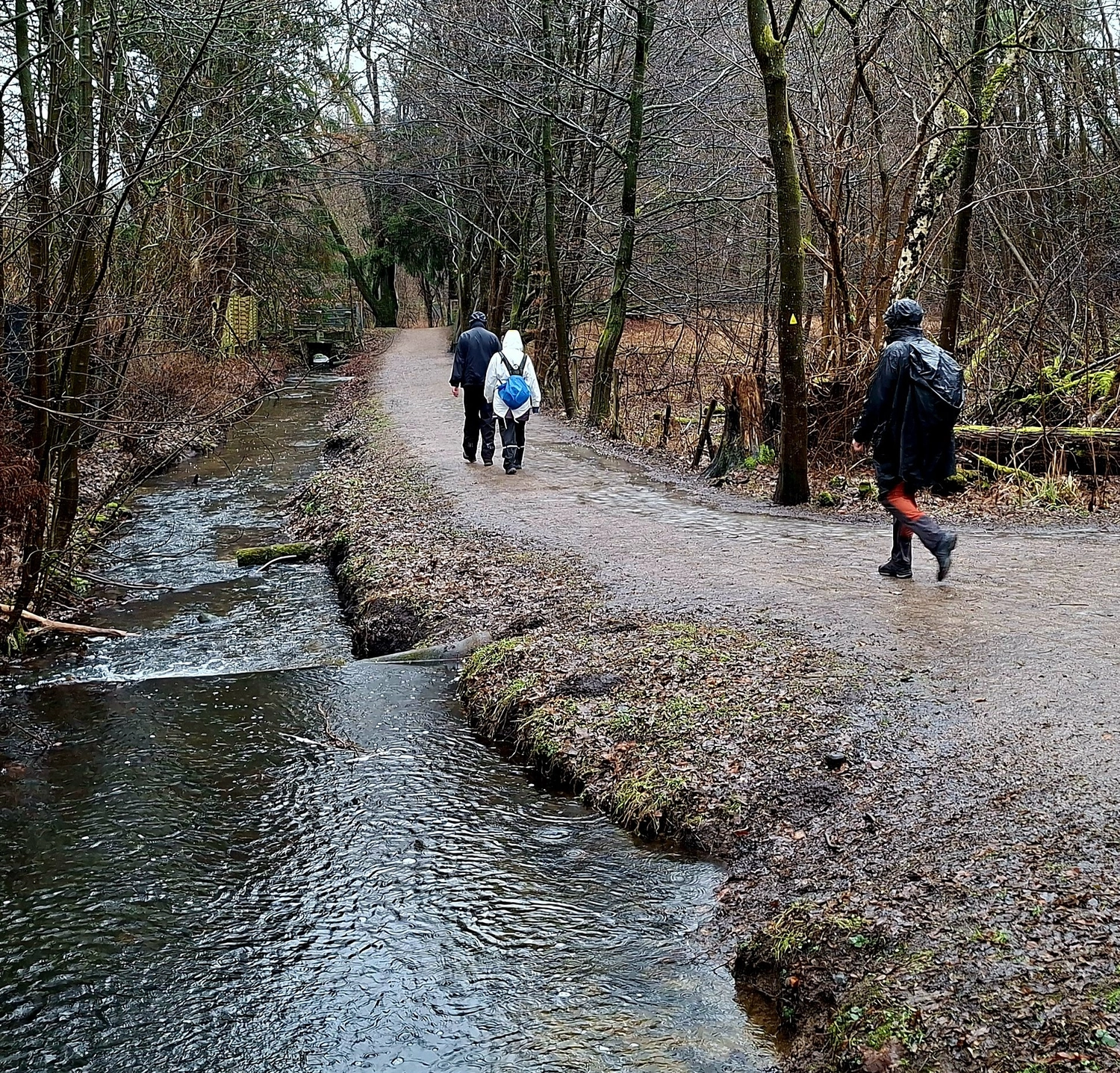 3. MidSummerRun am 21.06.2024 Flyer vom Lauftreff Alstertal e.V.