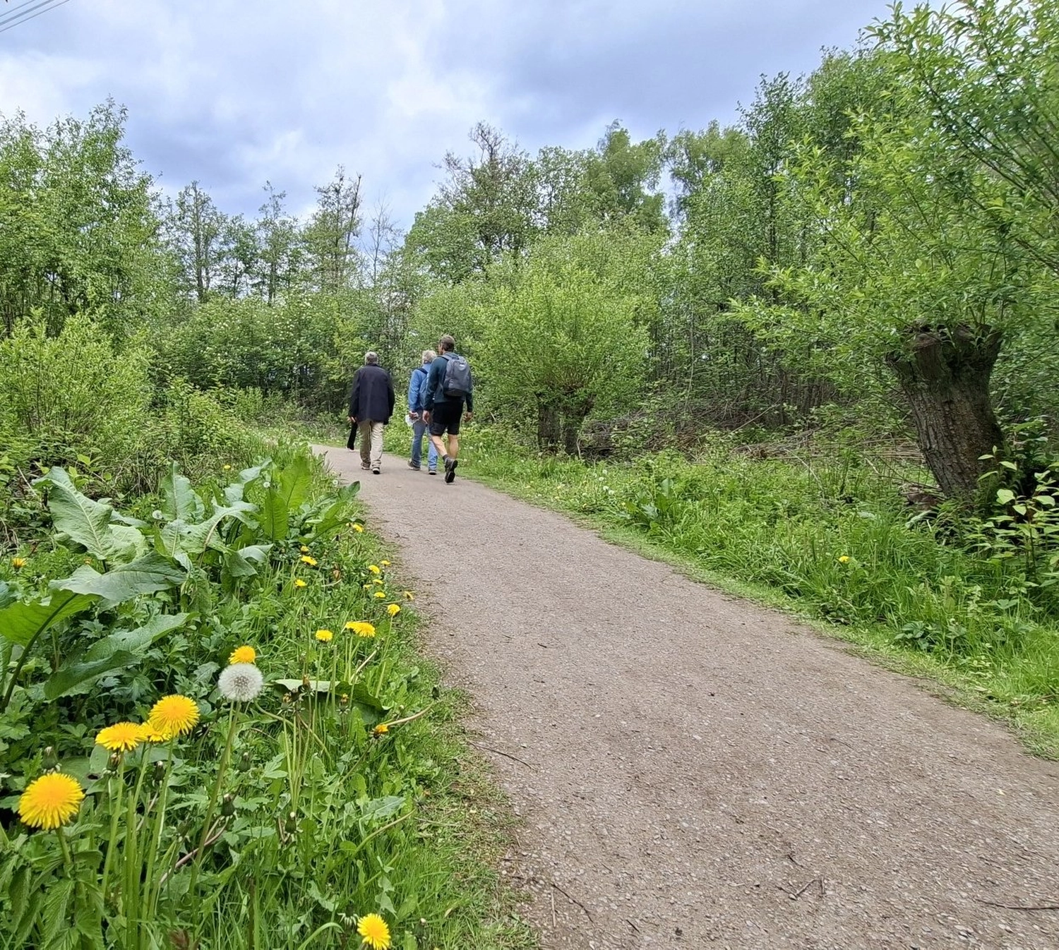 3. MidSummerRun am 21.06.2024 Flyer vom Lauftreff Alstertal e.V.