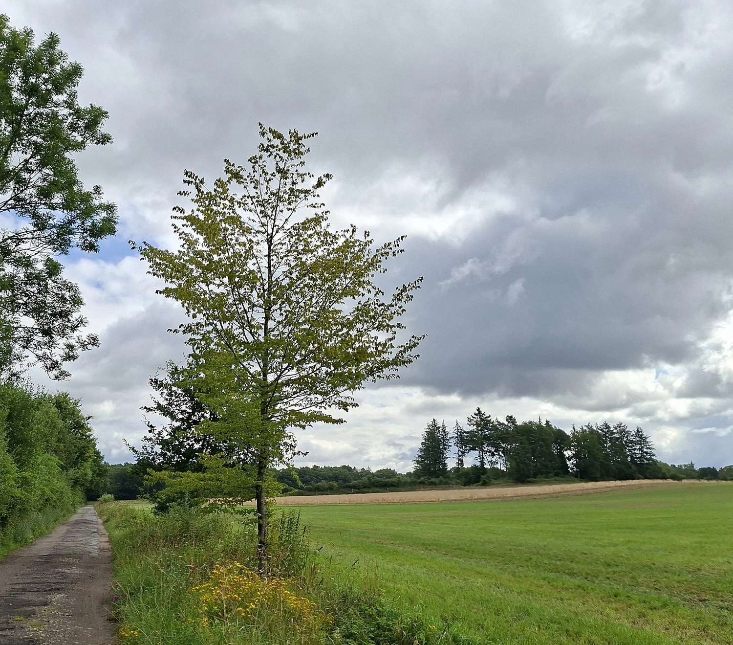 Bericht zur Wanderung am 19.7.26