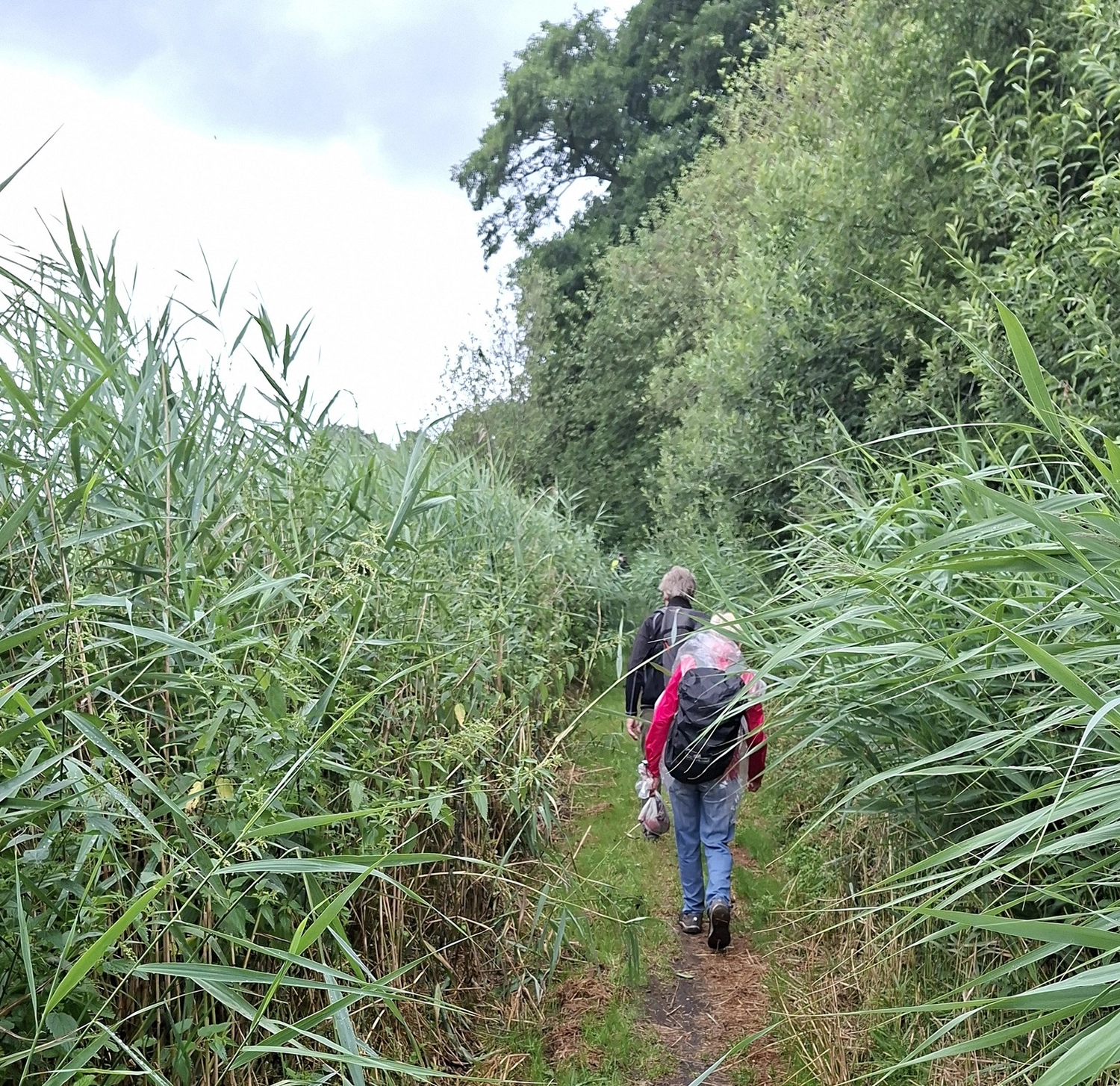 Bericht zur Wanderung am 19.7.26