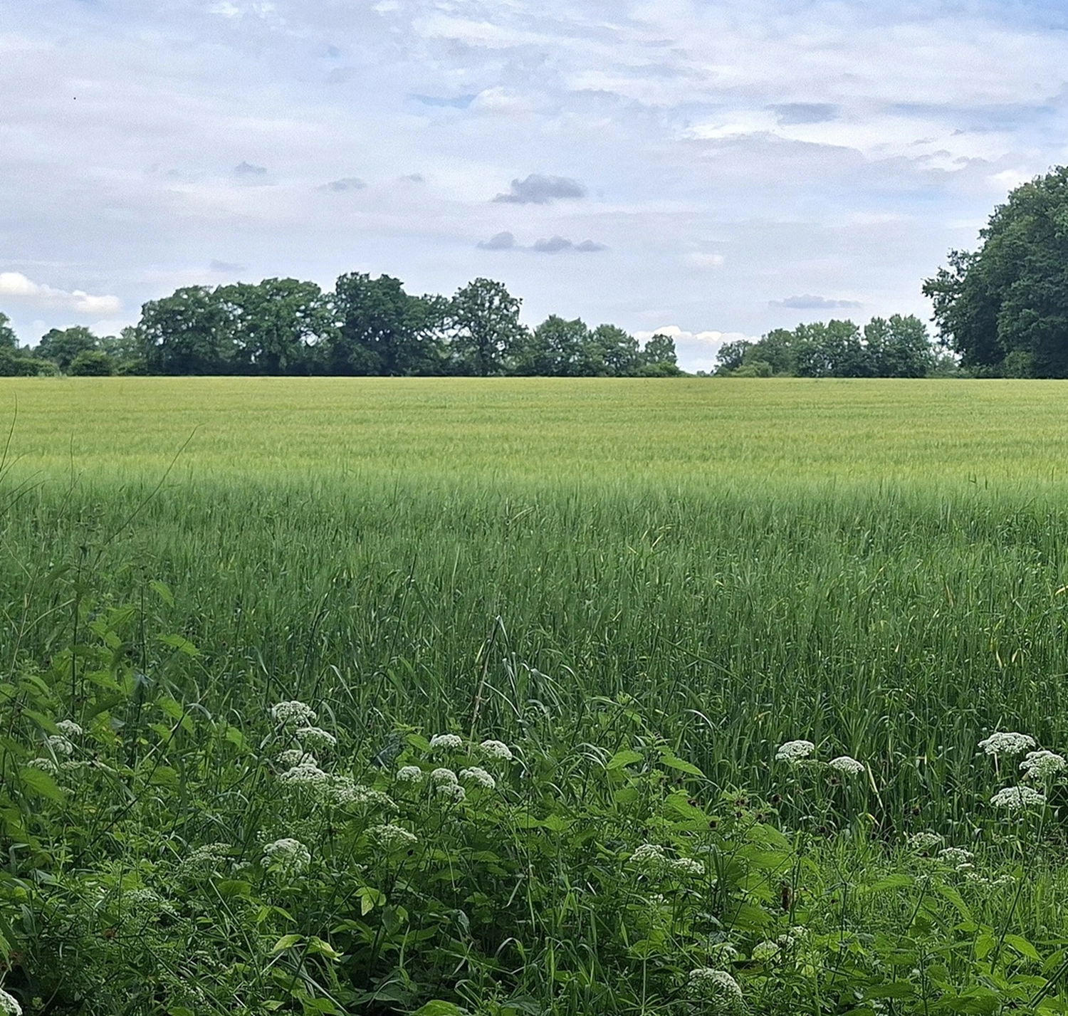 Das war unsere Wanderung am 21. Juni 2026