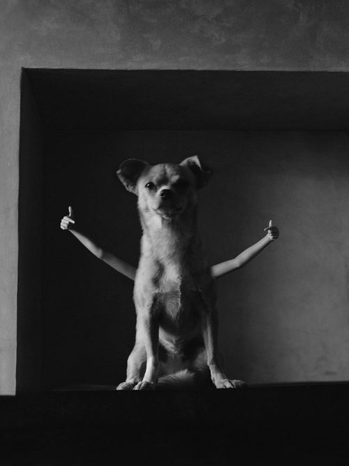 Lima and River, Tian Taru