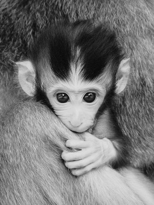 Mother and child, Ubud