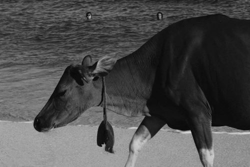 Tourists and local, Bali