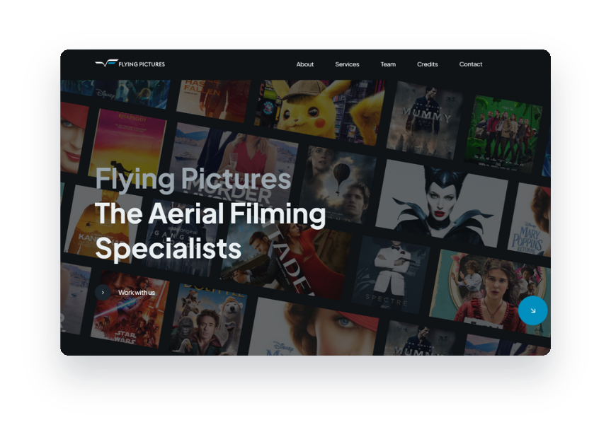 Flying Pictures
