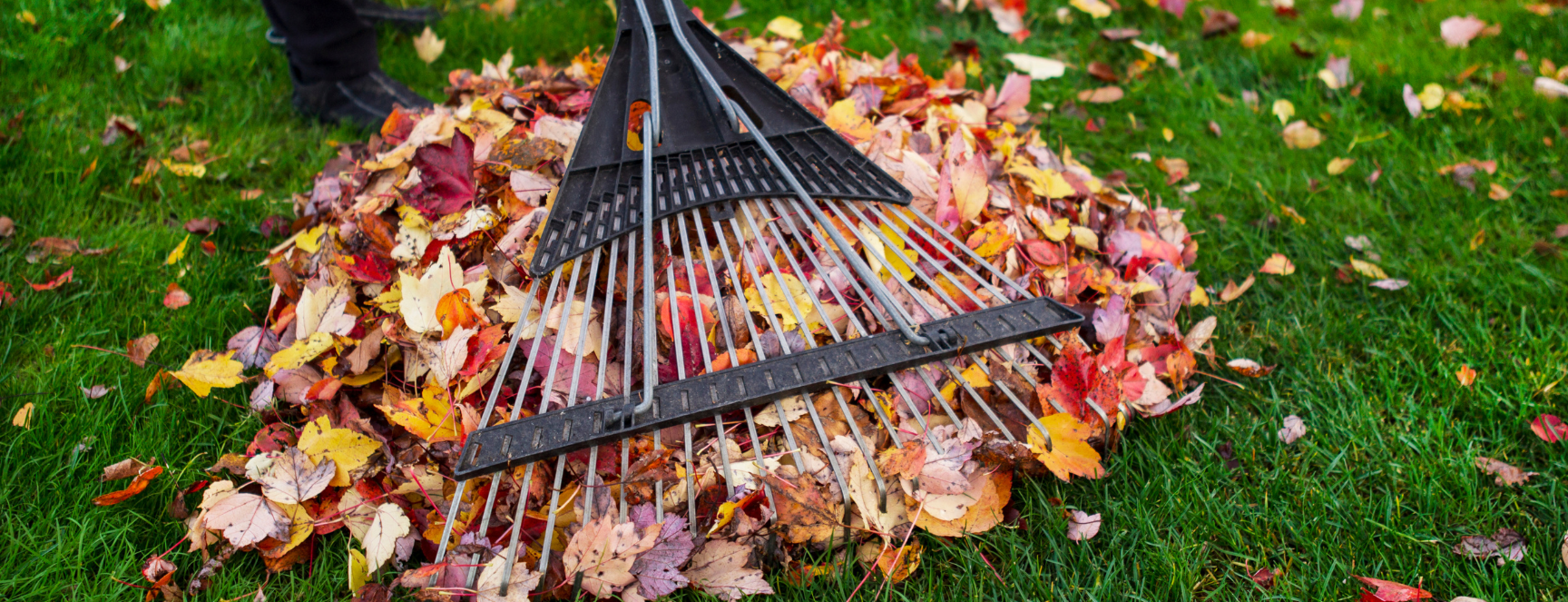 Image of a professional property maintenance expert cleaning up a yard by raking leaves