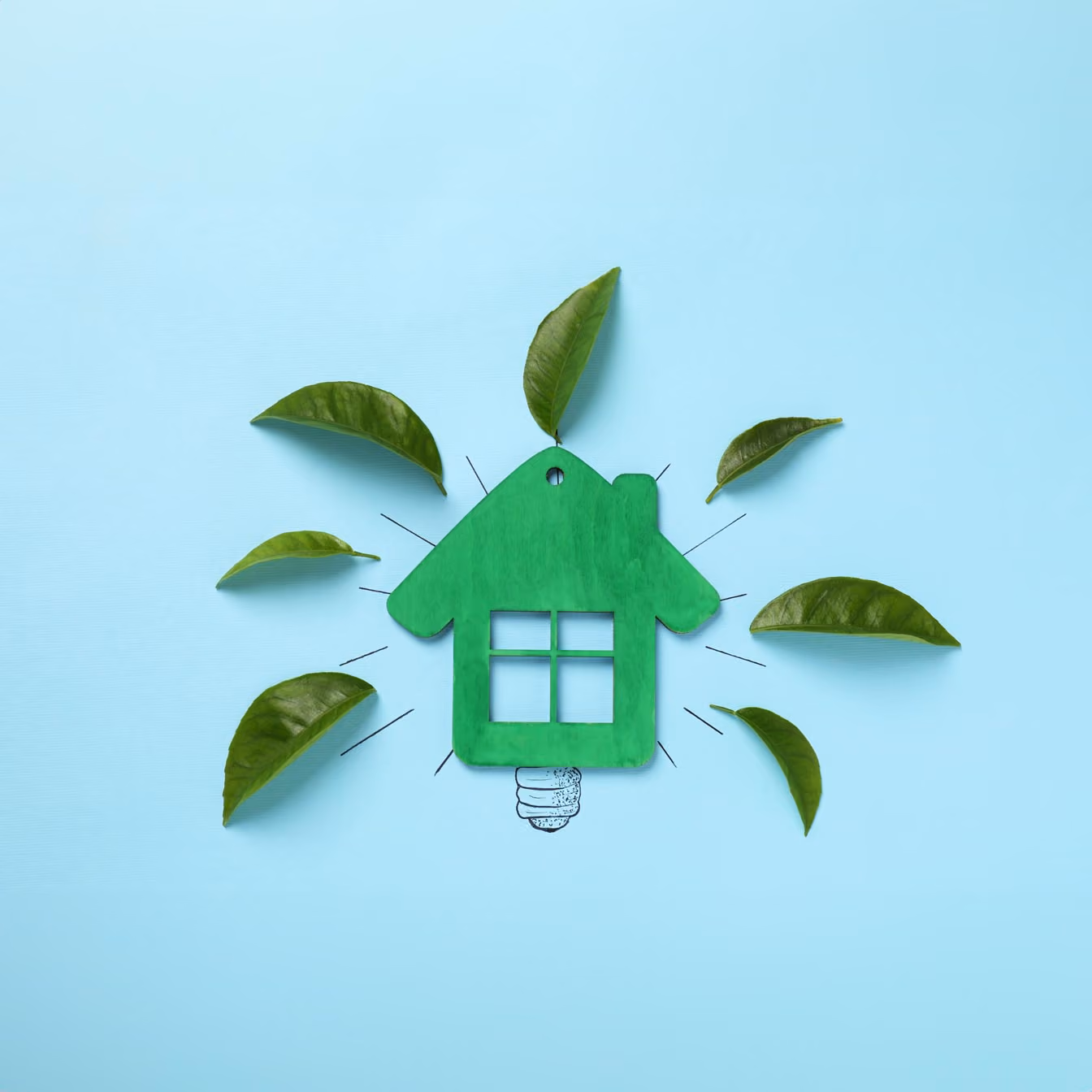 Bilde av et hus med planter.