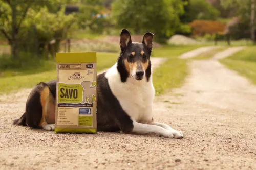 Dagsmark investment photo