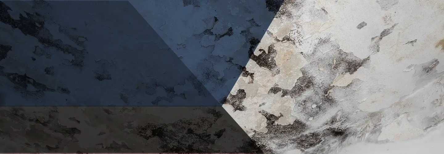 Fides Restoration - Emergency Mold, Water, and Fire Restoration