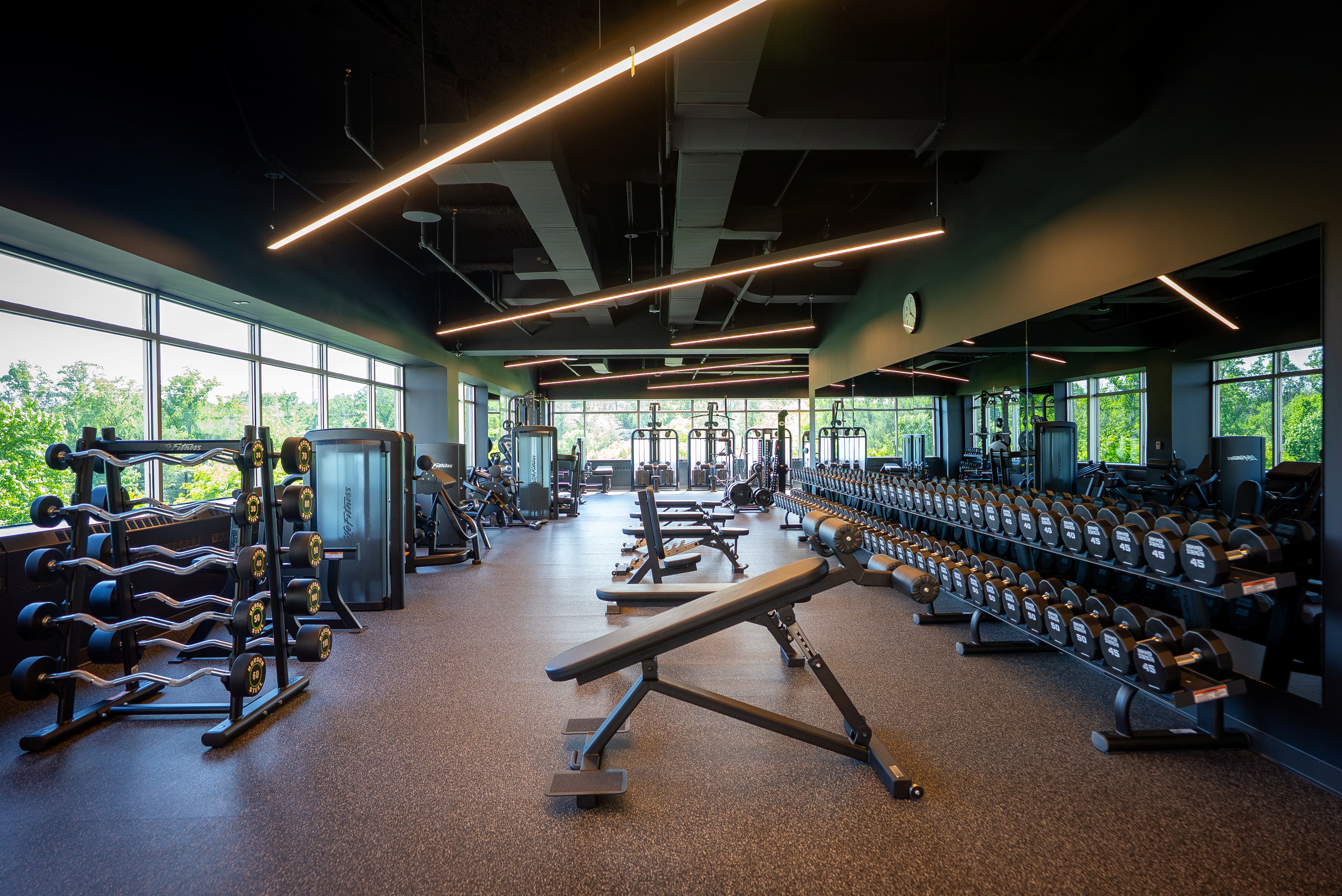 Spacious open gym area at FIELDHOUSE with strength training machines and free weights.
