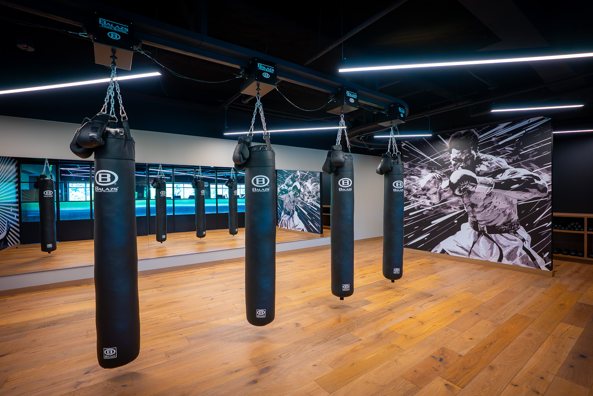 Boxing and Yoga Studio at Fieldhouse gym featuring retractable heavy bags.