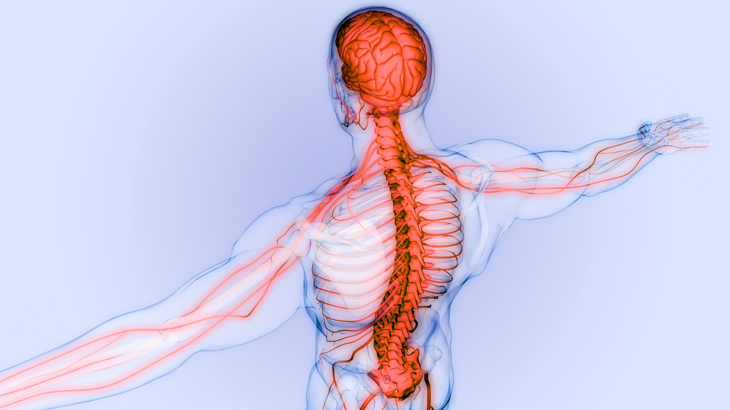 Momentum Chiropratique - Image - Blog